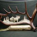 September calling moose